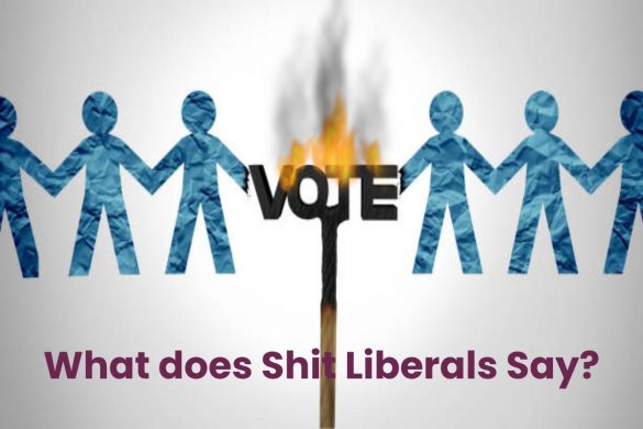 What does Shit Liberals Say?