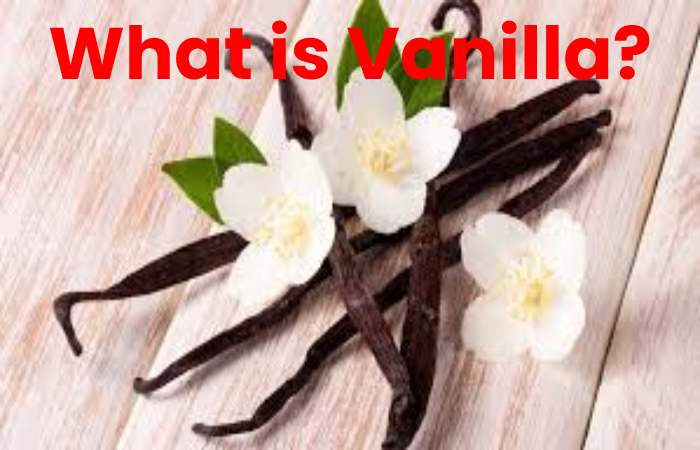 What is Vanilla?