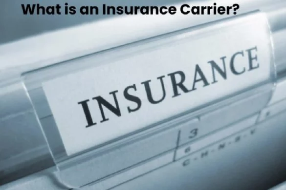 What is an Insurance Carrier? - Techies Express