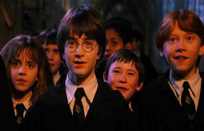 Harry Potter and the Philosopher's Stone: The Overview