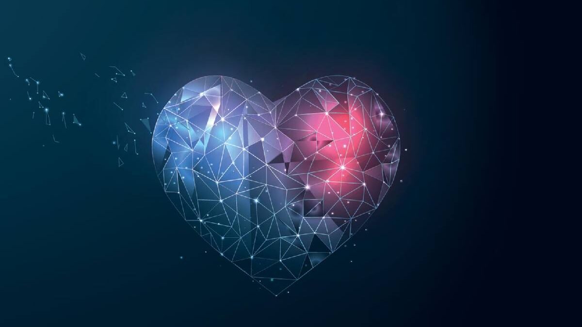 What is Hunny Love Crypto?