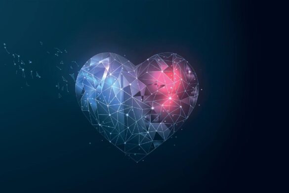 What is Hunny Love Crypto?
