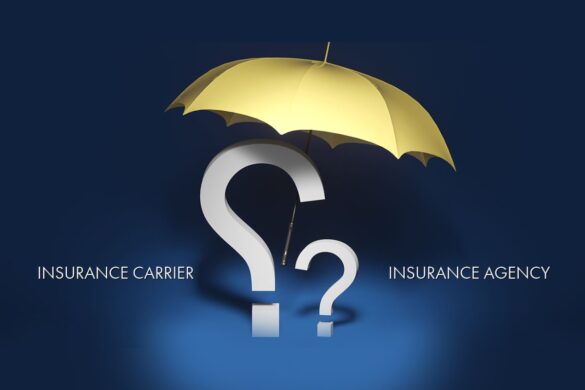 What is an Insurance Carrier?