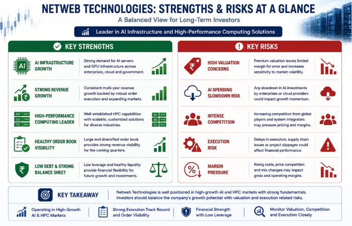Netweb Technologies stock strengths and investment risks